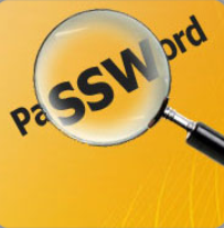 SpotAuditor Password Find and Recovery